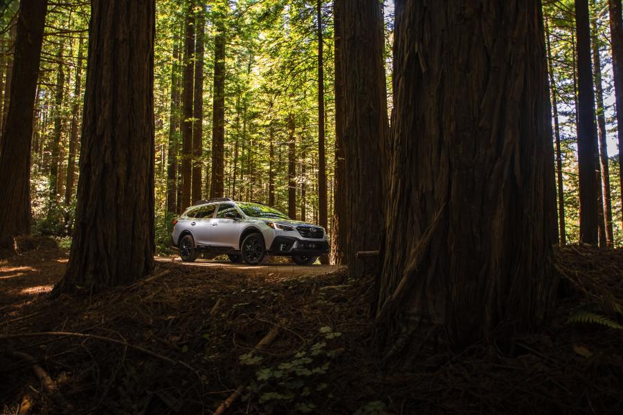  Subaru Outback Onyx Edition XT 2019 года  (NA) (фото 29 из 40)